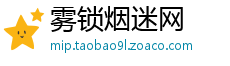 雾锁烟迷网