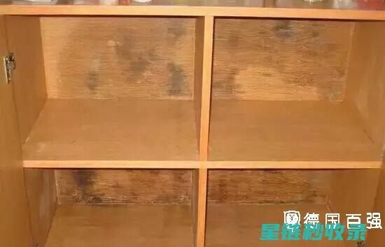 衣柜防潮妙招大揭秘：让衣物远离湿气的侵害 (衣柜防潮妙招有哪些)