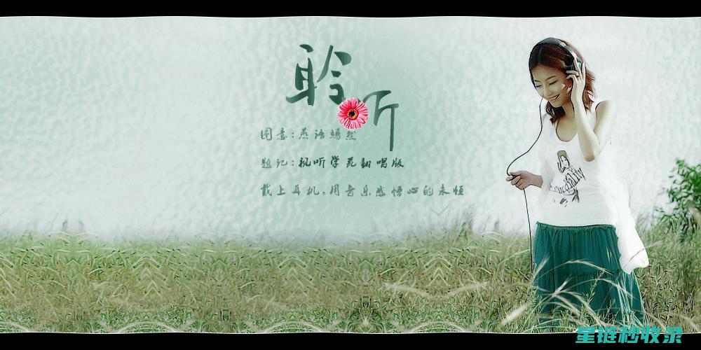 聆听之声：揭示保护行动中的默默奉献者 (聆听之心)