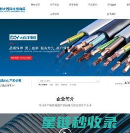 成都大西洋线缆有限公司